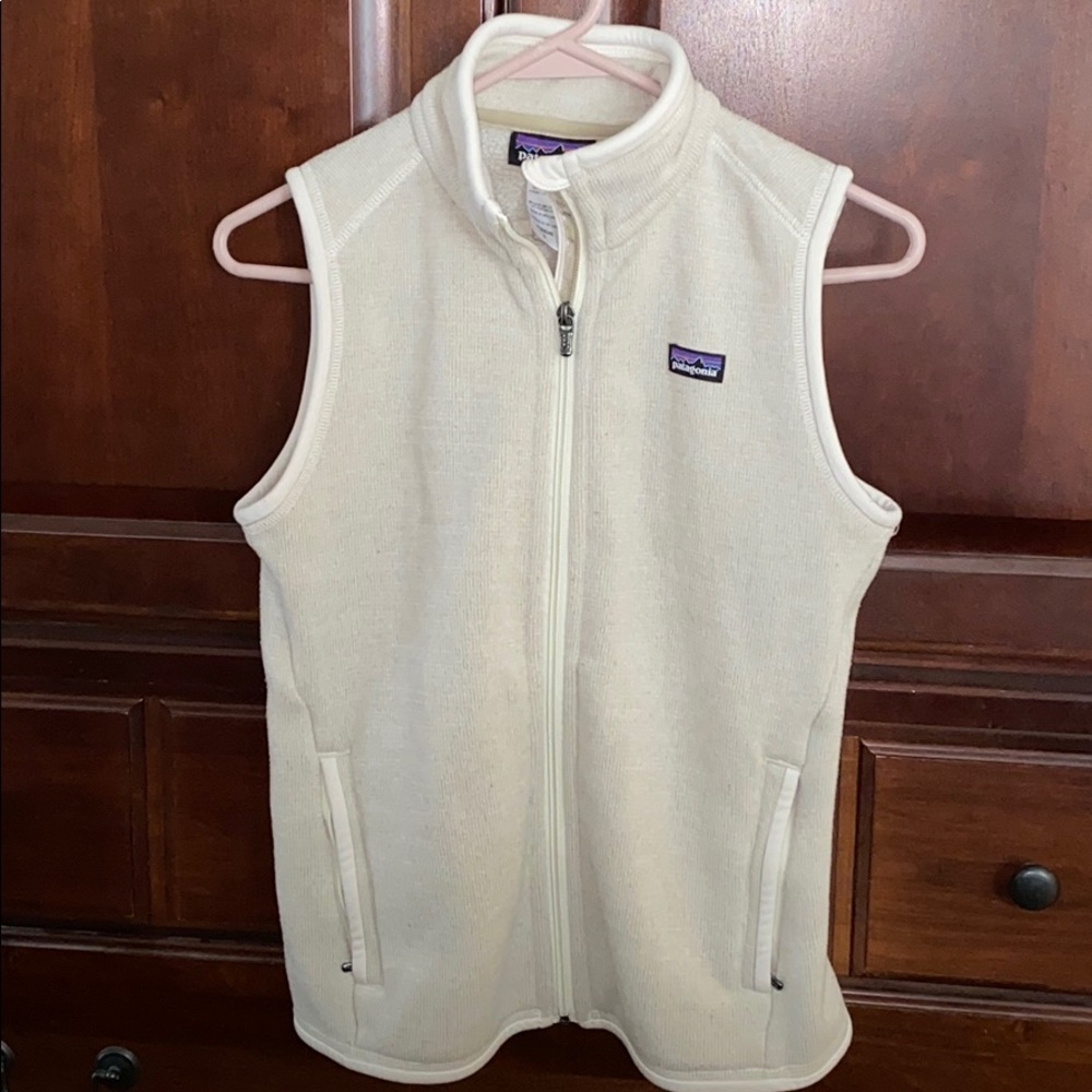 COPY - Patagonia vest